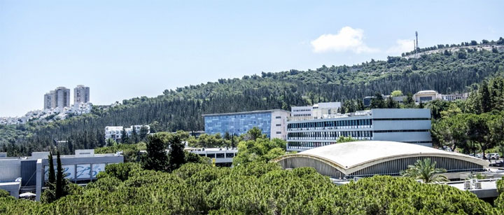 Technion View